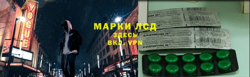 дарнет шоп  Новопавловск  ЛСД экстази ecstasy 